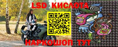 ешки Новозыбков