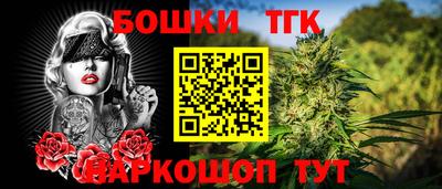гашик Новодвинск