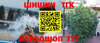 гашик Новодвинск